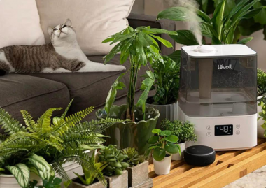 The Benefits of Ultrasonic Humidifiers for Your Home and Garden