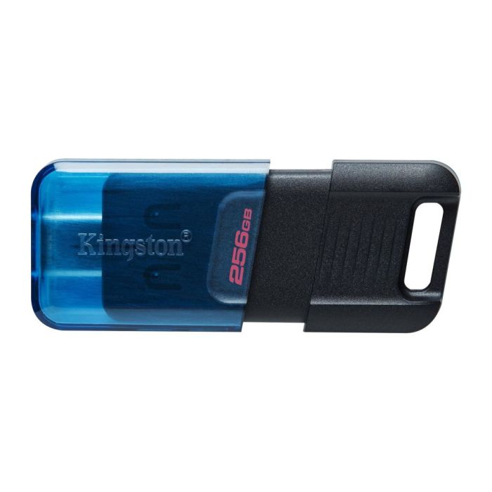 Kingston 2024 Technology 256GB DataTraveler DT310