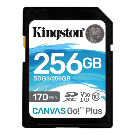 KINGSTON 256GB SD CARD CANVAS GO PLUS (SDG3/256GB )