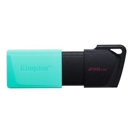 KINGSTON 256GB EXODIA M USB 3.2 FLASH DRIVE (DTXM/256GB)