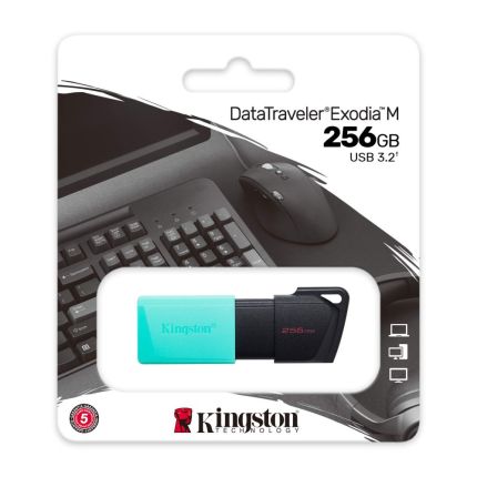 KINGSTON 256GB EXODIA M USB 3.2 FLASH DRIVE (DTXM/256GB)